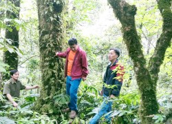 Người dân và lực lượng chức năng xã Ngọc Long tuần tra rừng.
