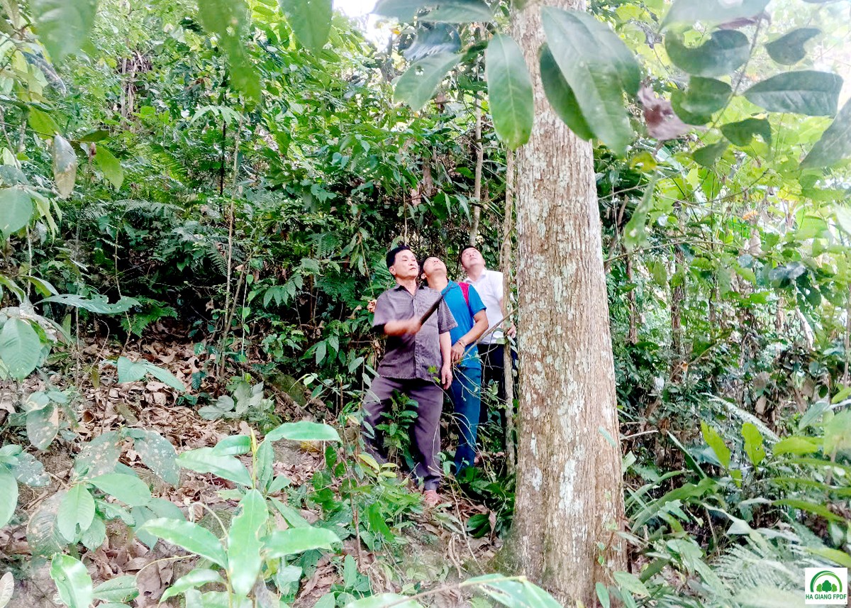 Tổ bảo vệ rừng thôn Khâu Lầu tuần tra rừng.